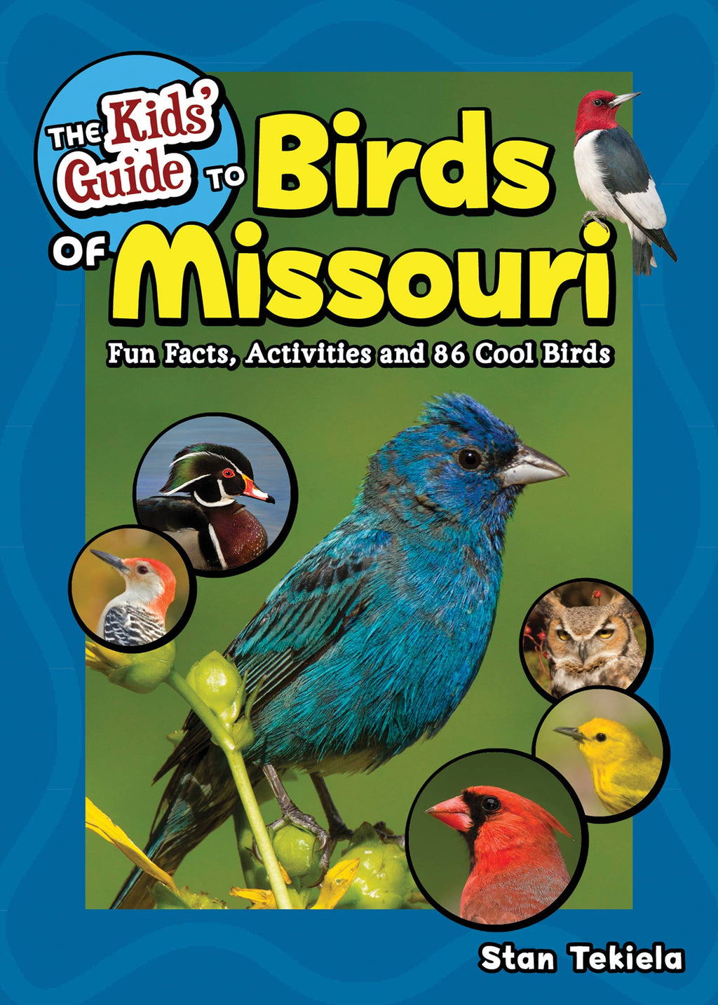 Kids' Guide to Birds of Missouri