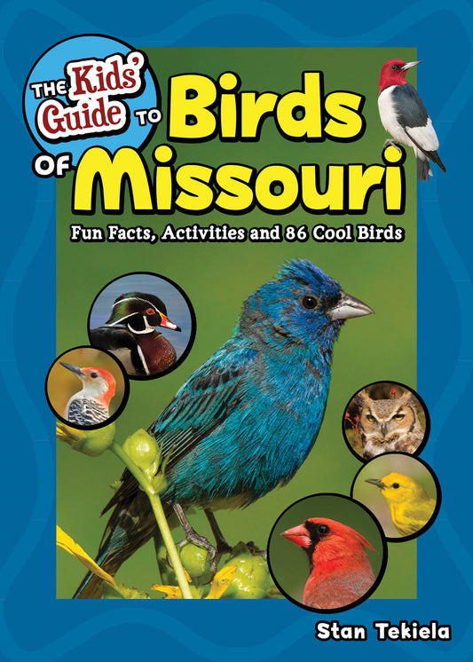 Kids' Guide to Birds of Missouri