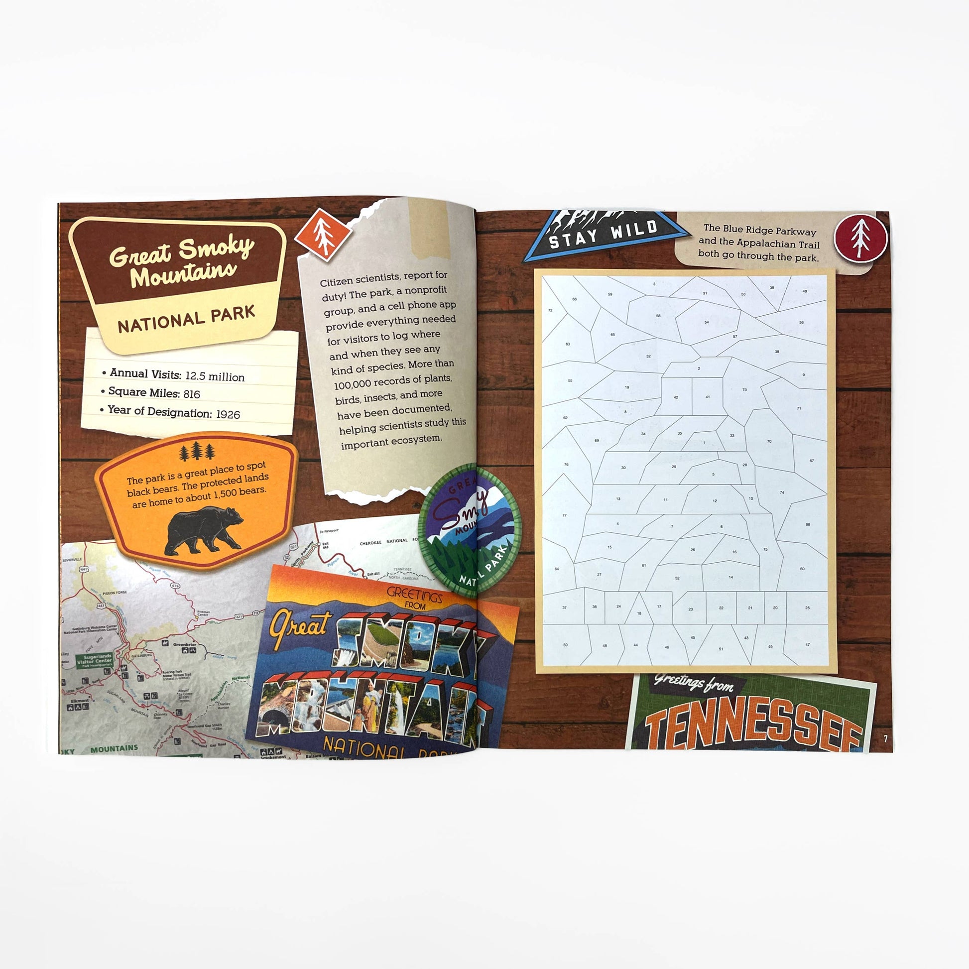 National Parks: Sticker-by-Number Activity Book