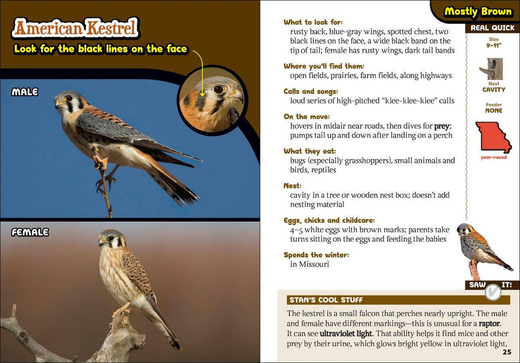 Kids' Guide to Birds of Missouri