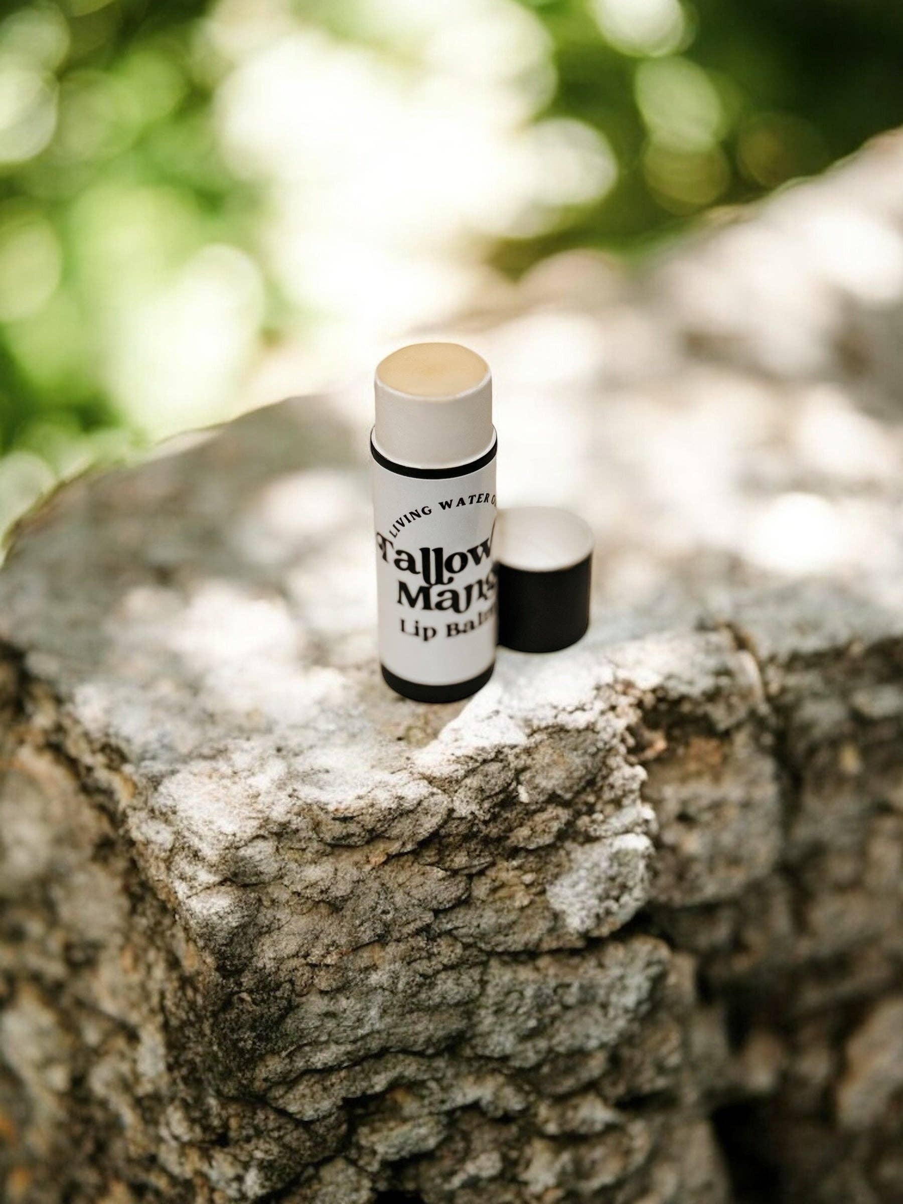 Tallow and Mango Lip Balm