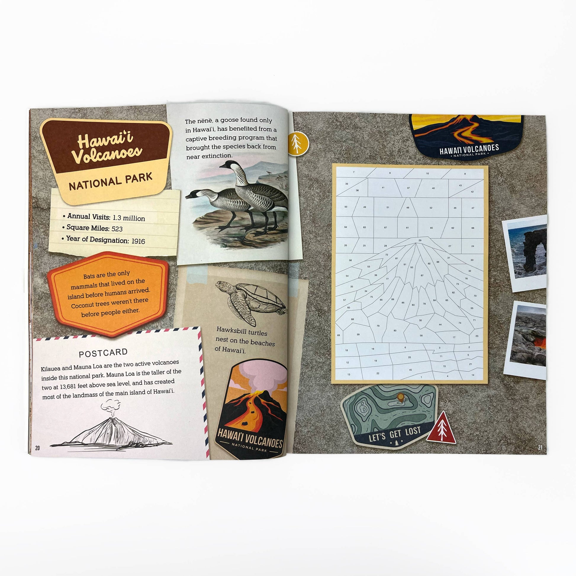 National Parks: Sticker-by-Number Activity Book