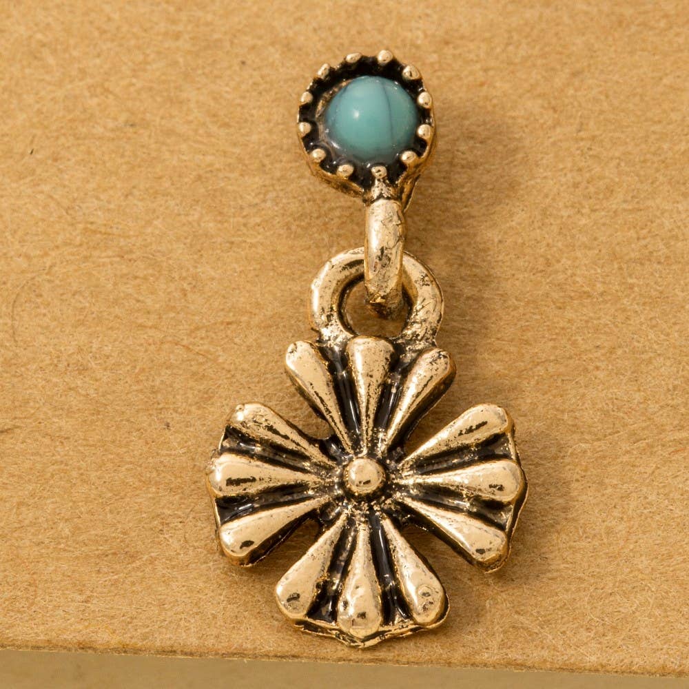 Assorted Six Pair Western Stud Earrings Set