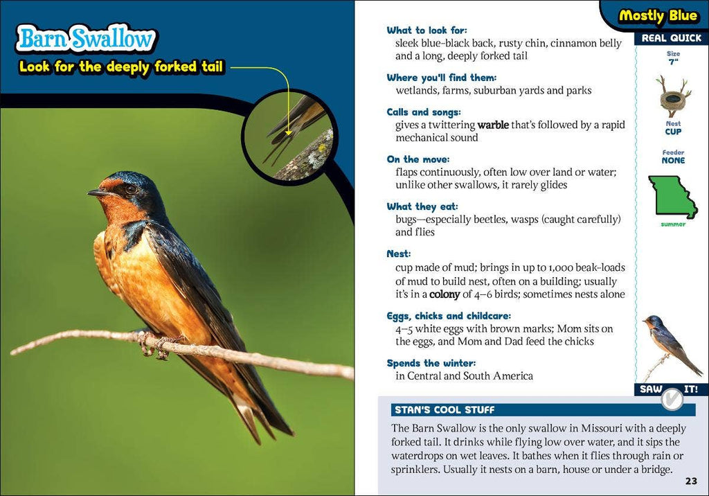 Kids' Guide to Birds of Missouri