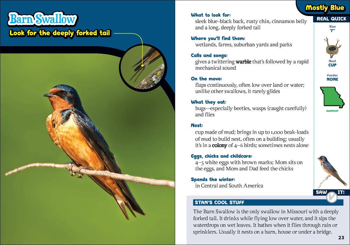 Kids' Guide to Birds of Missouri
